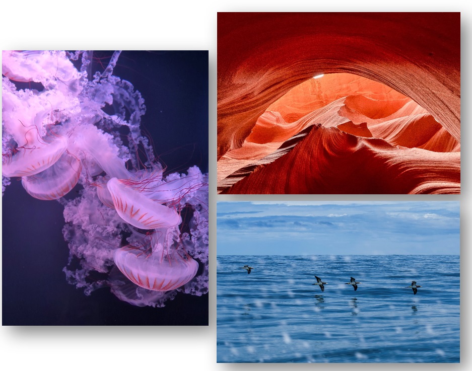 Piotr Liberek, Fernando Sancho, and Carlos Trigo, winners of the 10th Saica Group Photography Contest